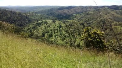 Fazenda Santa Fé com Benfeitorias em Padre Bernardo-GO