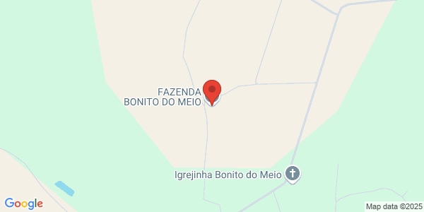 Fazenda com casa, curral e energia elétrica, área extensa