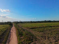 Terreno Rural com 50,0383ha em Goianésia do Pará