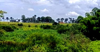 Área desocupada com 24.627 m², terreno amplo e livre para uso