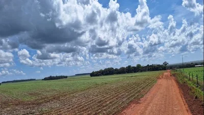 Fazenda rural de 215 ha ocupada com atividade agrícola