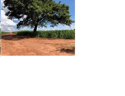 Área Rural de 26,16 hectares com Casa Rústica em Severínia/SP