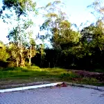 Espaçoso Terreno de 7.152 m² no Centro, Oportunidade de Investimento