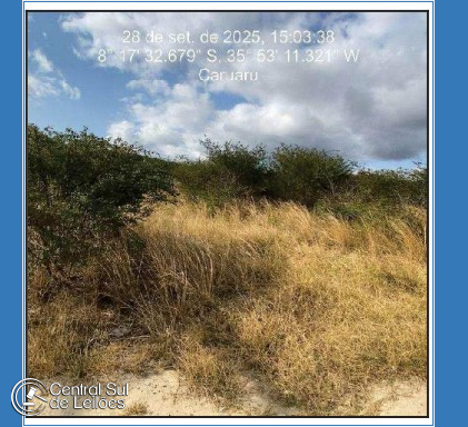 Terreno em Caruaru com 450m²