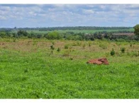 Sítio rural com casa em péssimo estado e 374.704 m²