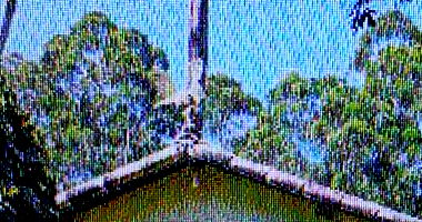 Sítio dos Pinheiros com Casa e Benfeitorias