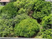 Terreno 360m² próximo à Praia de Jacaraípe - Serra/ES