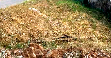 Terreno em Parauapebas - PA com 296,57m²