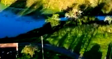 Fazenda São Jacó com 175 hectares e rica em água