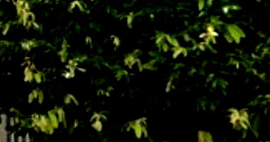 Casa Ocupada com 64.60m² em Ourinhos/SP