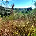 Lote urbano com 573,43m² sem edificações, terreno amplo