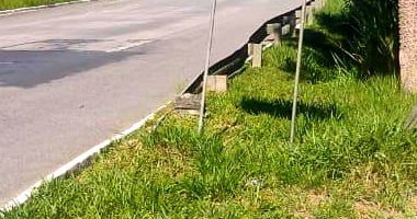 Terreno de 36.250m² em Cabo de Santo Agostinho - Oportunidade Única!