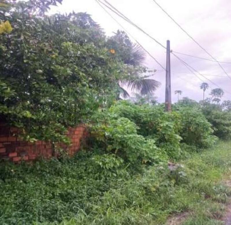Terreno amplo em Marituba com 13.150,48 m²