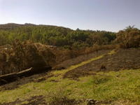 Terreno de 11.375m² em Morro da Mina - Conselheiro Lafaiete/MG