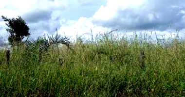 Terreno em Abadiânia/GO - 360m²