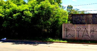 Imóvel rural com 4,84 alqueires e casa em estado de ruína