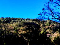 Sítio com 12,10 hectares em Nova Itaberaba