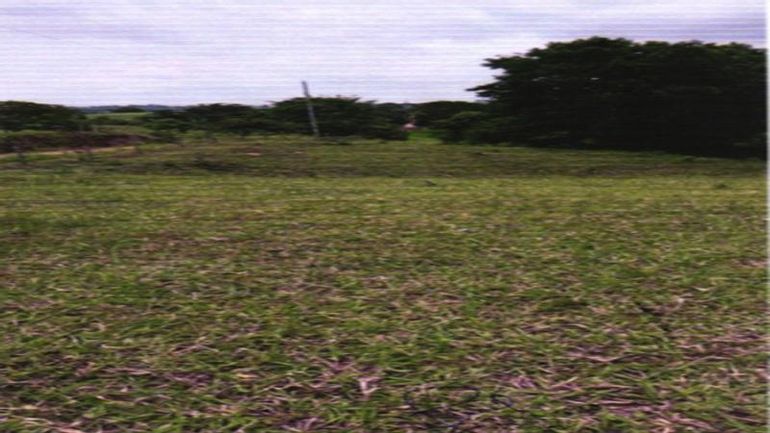 Chácara Urbana com Ampla Área de Terreno em Colorado do Oeste/RO