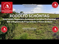 Fazenda Rural 300ha com potencial para investimento