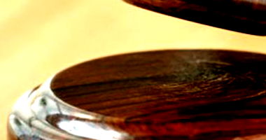 Semoventes: 4 Vacas e 4 Terneiros em Catanduvas/SC