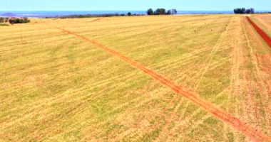 Fazenda Estância Brasil com 1.533,79 hectares