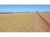 Fazenda Estância Brasil com 1.533,79 hectares
