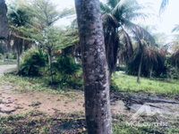 Lote de 591,98m² no Condomínio Veredas do Lago Azul