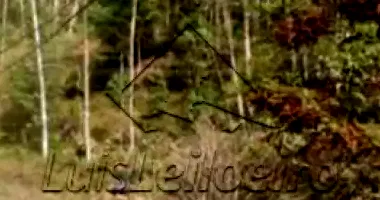 Sítio com 240.000m² em Nova Friburgo/RJ