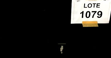 Sucata de Equipamentos Eletrônicos - Oportunidade Única!