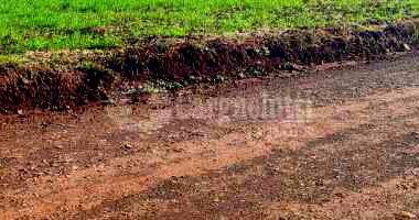 Terreno Rural 15.000m² na Esquina Fátima, sem benfeitorias