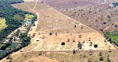 Fazenda Rural com 54 Hectares em Poxoréu, MT