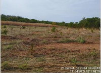 Fazenda Lisboa com 1.210ha e benfeitorias em São Valério/TO