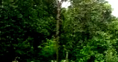 Terreno Amplo em Leilão - Jardim das Acácias