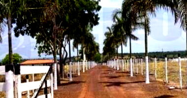 Fazenda com Gleba de 23,1405 ha em Catalão-GO