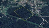 Imóvel Rural 19 ha - Oportunidade em Paranaguá - PR