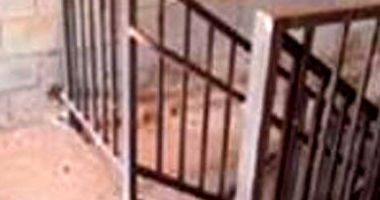 Loja Comercial em Brasília/DF com 53.69m²