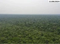 Fazenda Bataguassu II - 345,23 ha em Nova Ubiratã/MT