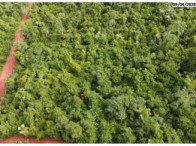 Imóvel rural com 1 hectare em Vila Valério/ES