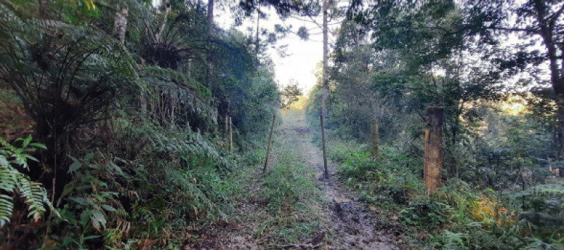 Terreno rural com 71.006,87m² em área estratégica