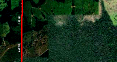 Fazenda rural com 127,34ha em Chupinguaia/RO, solo misto e mata ciliar