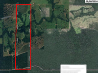 Fazenda rural com 127,34ha em Chupinguaia/RO, solo misto e mata ciliar