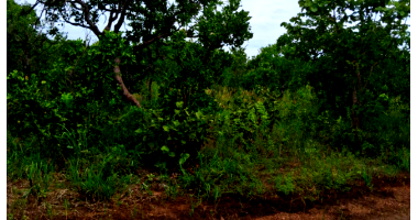 Terreno com 360m² em Cuiabá/MT