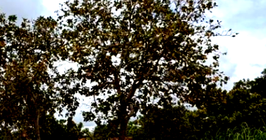 Terreno com 450m² em Porto Nacional/TO