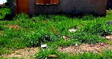 Terreno em Uberaba/MG com 200m² de terreno