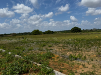 Terreno em Alhandra - PB com 455,74m²