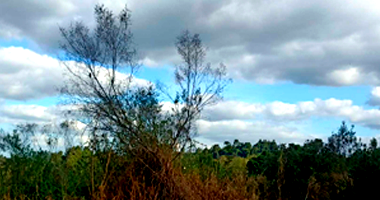 Terreno em Harmonia/RS com 299m²