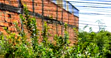 Terreno em Salvador - BA - São Cristóvão