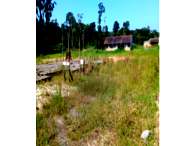 50% de Terreno com 559.171,00m² em São Francisco do Sul