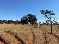 Terreno Rural com 9,68 ha em Martinópolis/SP
