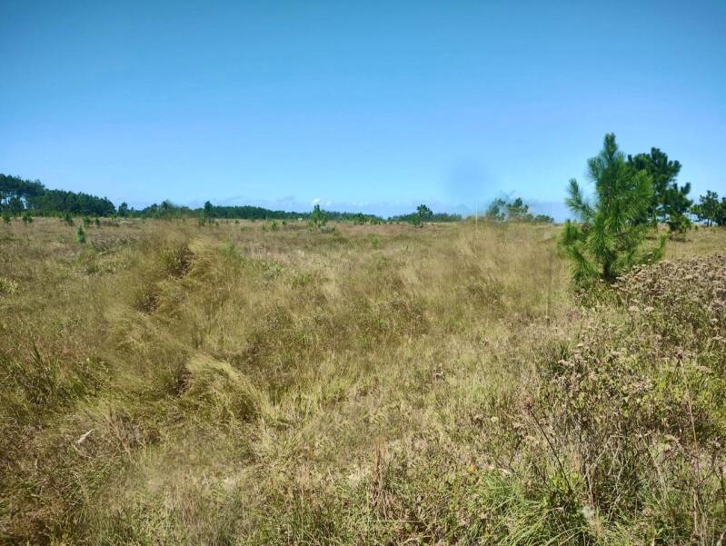 5 Terrenos em Balneário Gaivota - Oportunidade Única!